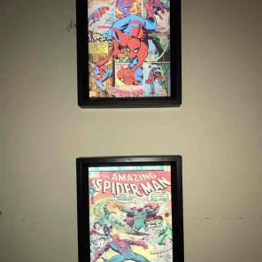 Spider-Man Holographic Paintings