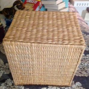 Woven Bin
