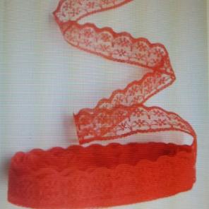 Nwt red lace