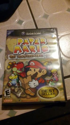 Paper mario case