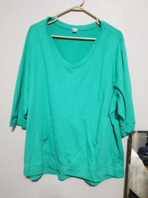 Very cute greenish sweatshirt