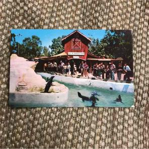 1961 Old Mac Donald's Farm postcard