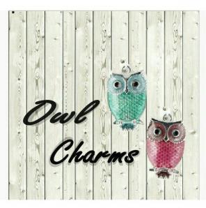 2 Owl Charms
