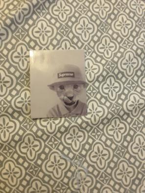 Kitten supreme sticker