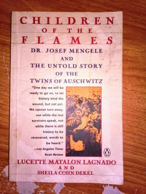 Children Of The Flames soft cover