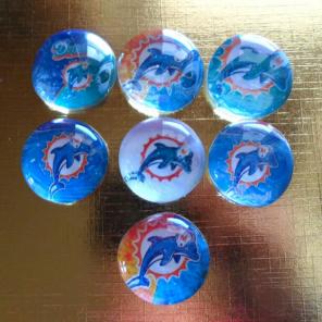 Miami Dolphins glass bead magnets