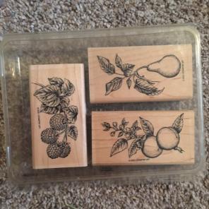 Fruit And Berry Stampin Up Stamps