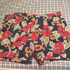 Patagonia Shorts