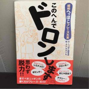 この辺でドロンします