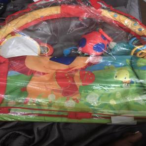 Safari Baby Play Mat And Gym