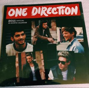 One Direction 18 Month Calendar 2015