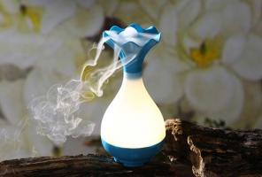 Aromatherapy diffuser Air Humidifier