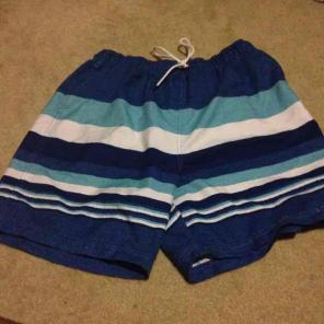 Nautica swim trunks