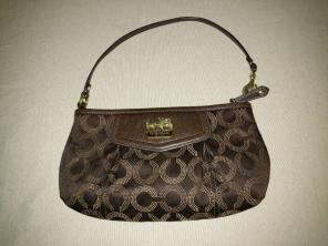 Vintage Coach Baguette