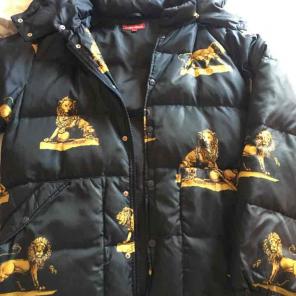 Supreme lion puffer