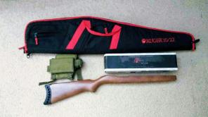 Ruger 10 22 tactical setup.