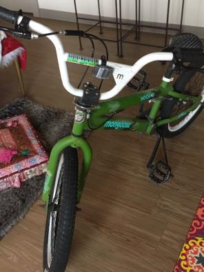 Mongoose Stunt/mountain Bike (used)