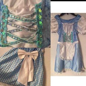 3t-4t Dorothy Wizard of Oz Costume
