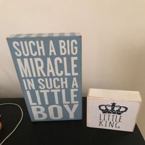 Baby Boy Nursery Decor