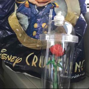Beauty and the Beast Cup