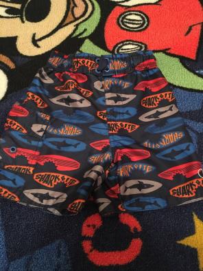 3t Swim Trunks