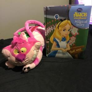 Cheshire Purse And Book