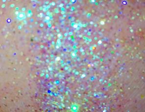 ' ENCHANTED '. Cosmetic GLITTER