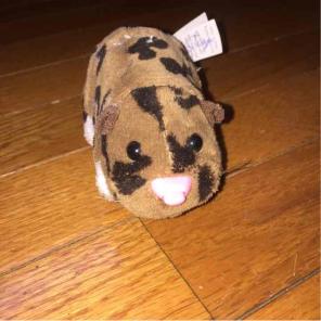Zhuzhu pets hamster