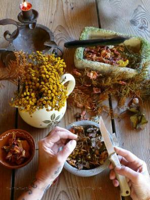 20 Magickal Herbs
