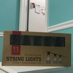 String Lights (Indoor/Outdoor)