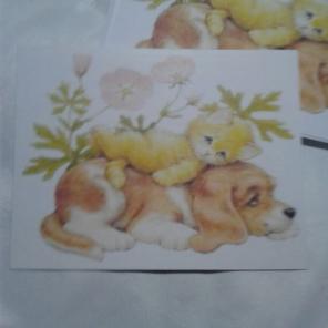 WWB-143/Note Cards/Puppy Under Kitten
