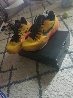 kobe 5