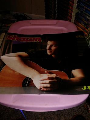 SHAWN MENDES/KYLIE JENNER 16x20 Poster!