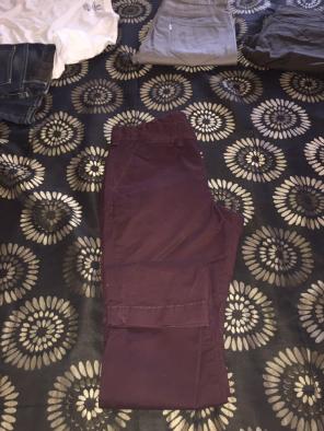 Express Chinos