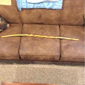 Walking Stick