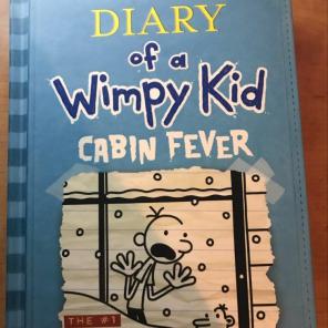 Diary Of A Wimpy Kid Cabin Fever