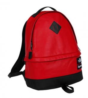 Supreme/North Face Leather Day Pack Red