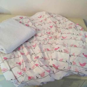 2 Pottery Barn Crib Sheet/Pad