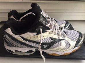 Mizuno Wave Bolt 2 Volleyball Shoes