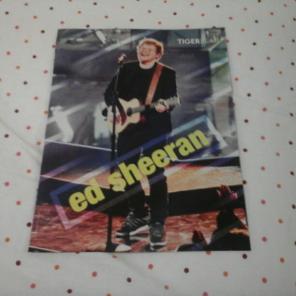 Ed Sheeran/Kayla Maisonet poster
