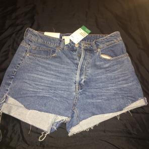 H & M High-Waisted Blue Short