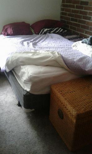 Queen bed and stand