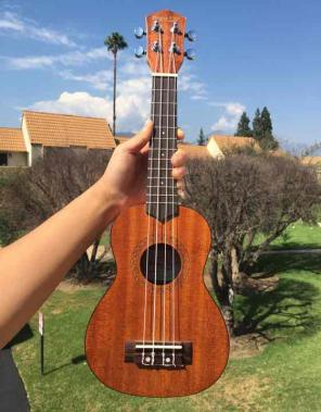 Mahogany 21 inch soprano ukulele NEW