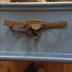 Coyote trap