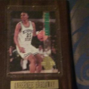 Anfernee Hardaway College card plaque