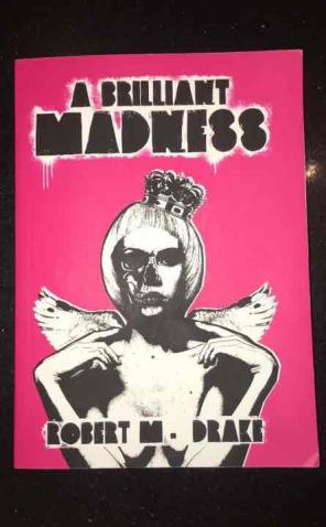 A Brilliant Madness - R.M Drake