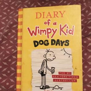 Diary Of The Wimpy Kid
