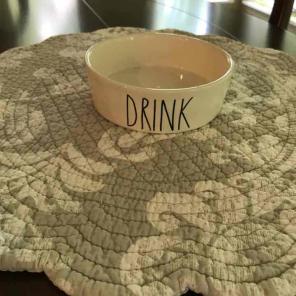 Rae Dunn cat/or small dog Bowl. NWOT