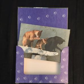 10 CAT NOTECARDS