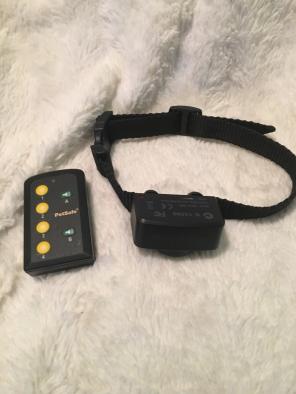 Pet safe Shock Collar